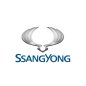SsangYong Adapter Assembly  3039008100