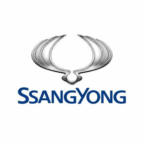 2420037610 LNT & CDPF Assembly | SsangYong OEM