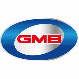 0M50217299B_GMB-Bearing ball