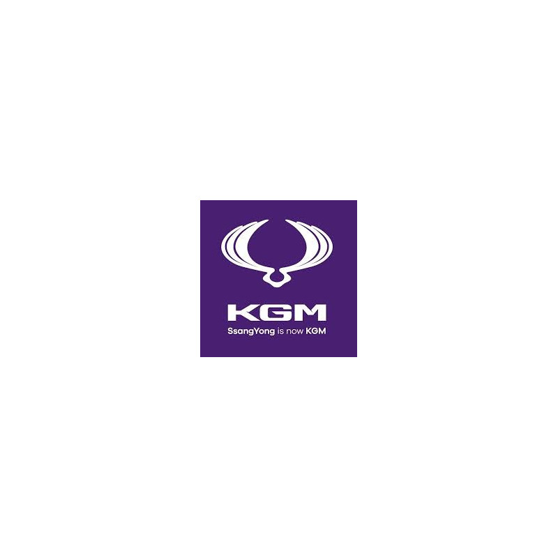 Genuine 1745400032 Engine Control Unit (ECU) for SsangYong / KGM