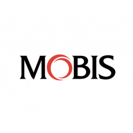 2341193002-Piston-mobis